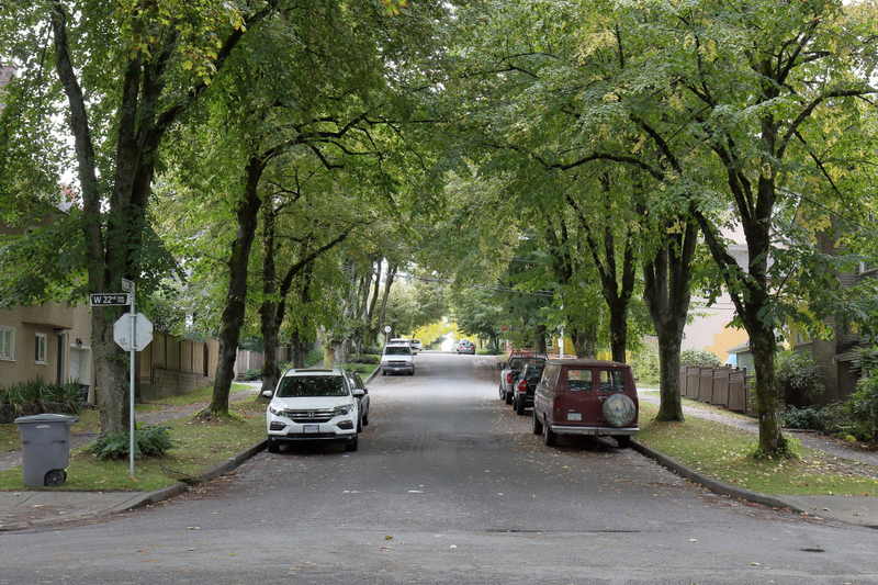 Illustration for article titled Pics from the Curbside: 2018-09-23 to Shaughnessy